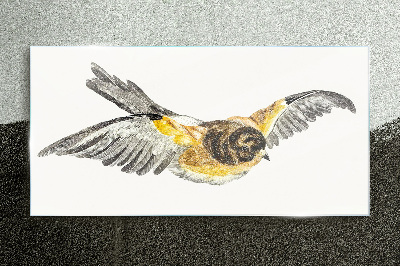 The majestic flight of a bird Glass Print