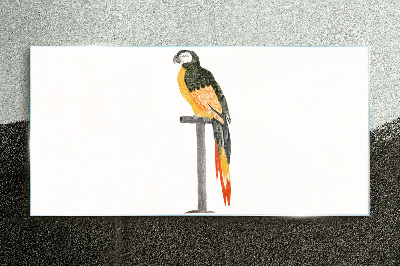 A parrot against a white wall Glass Print