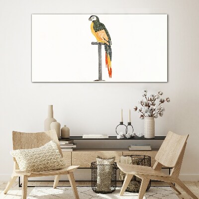 A parrot against a white wall Glass Print