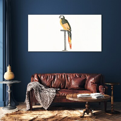 A parrot against a white wall Glass Print