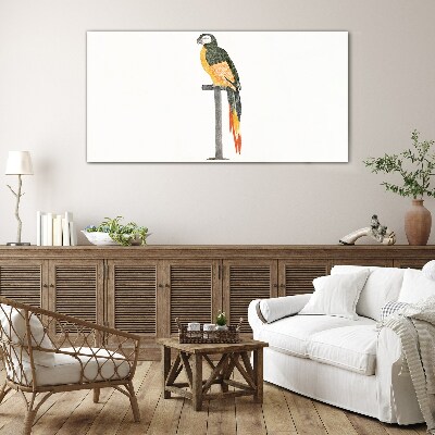 A parrot against a white wall Glass Print