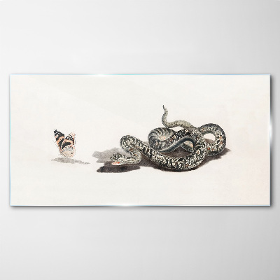 Drawing animal snake butterfly Glass Print