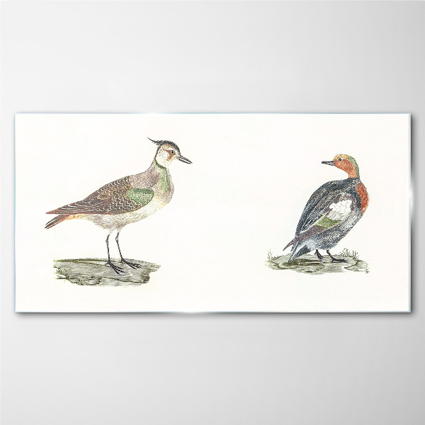 Colorful birds on a white background Glass Print
