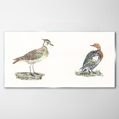Colorful birds on a white background Glass Print