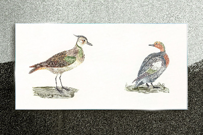 Colorful birds on a white background Glass Print