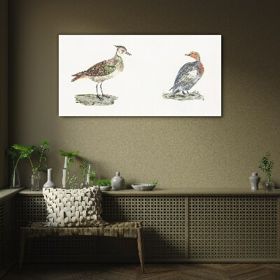 Colorful birds on a white background Glass Print