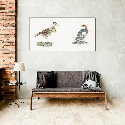Colorful birds on a white background Glass Print