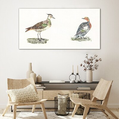 Colorful birds on a white background Glass Print