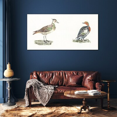 Colorful birds on a white background Glass Print