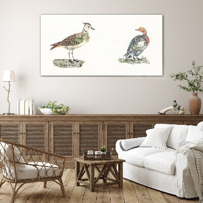 Drawing animals birds Glass Print