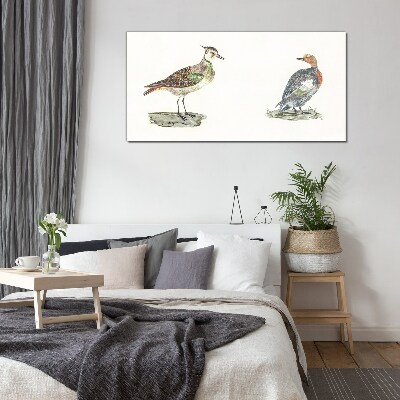 Colorful birds on a white background Glass Print