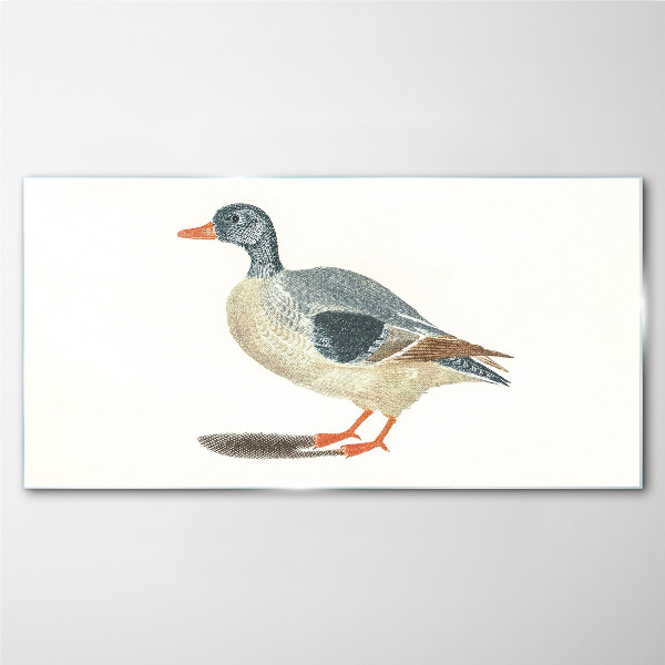 Duck in pastel shades Glass Print