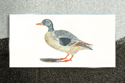 Duck in pastel shades Glass Print
