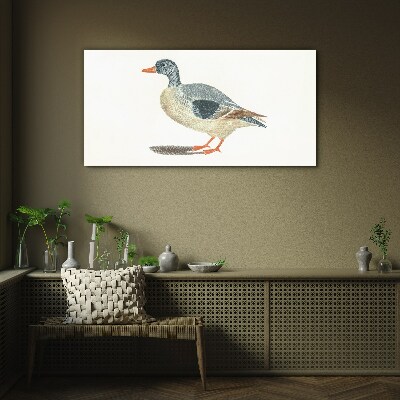 Duck in pastel shades Glass Print