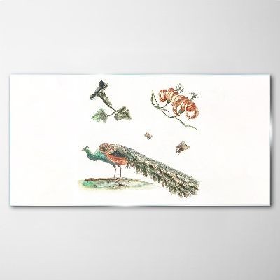 Peacock among flowers and insects Glass Print