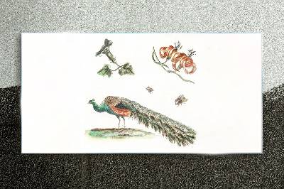 Peacock among flowers and insects Glass Print