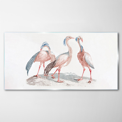 Three pink flamingos on a white background Glass Print