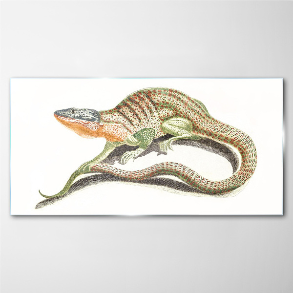 Colorful lizard in motion Glass Print