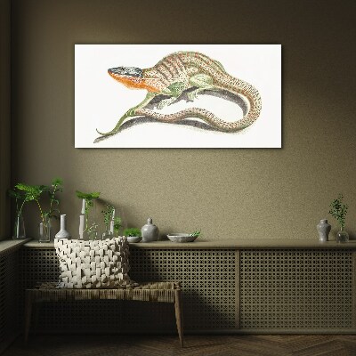 Colorful lizard in motion Glass Print