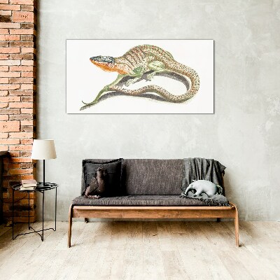 Colorful lizard in motion Glass Print