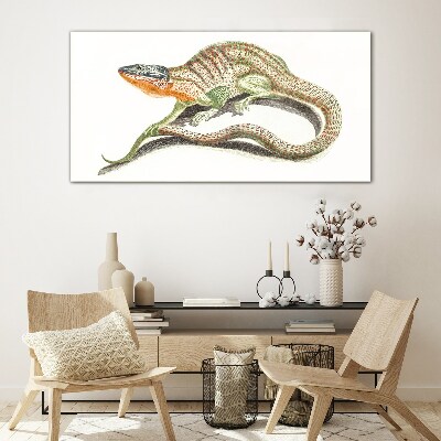 Colorful lizard in motion Glass Print