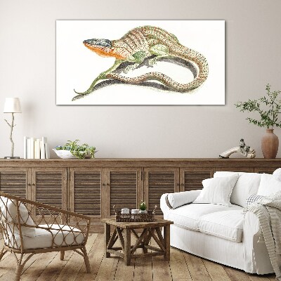 Colorful lizard in motion Glass Print