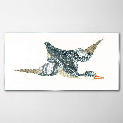 Flying duck in pastel shades Glass Print