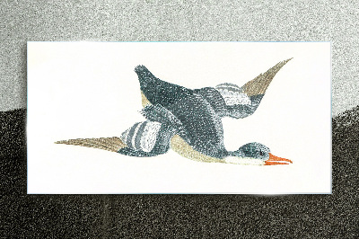 Flying duck in pastel shades Glass Print