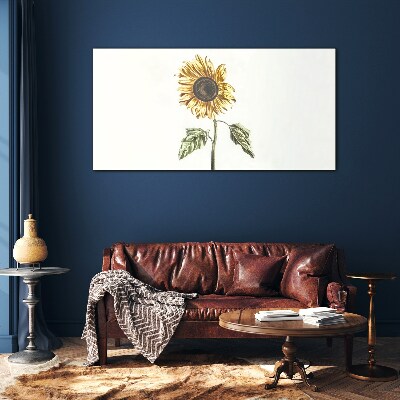 Sunflower flower on white background Glass Print