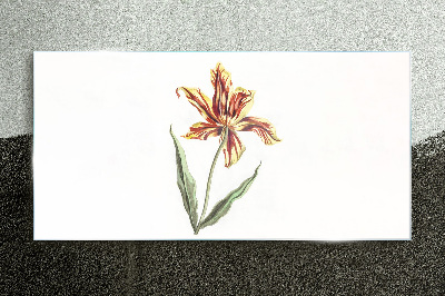 Floral arrangement in warm colors Glass Print
