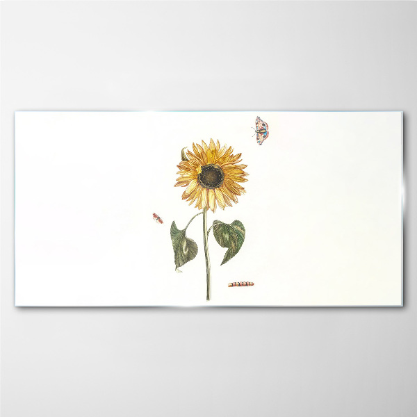 Sunflower in a delicate composition Glass Print