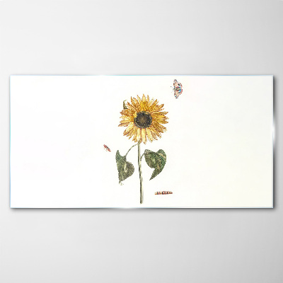 Sunflower in a delicate composition Glass Print