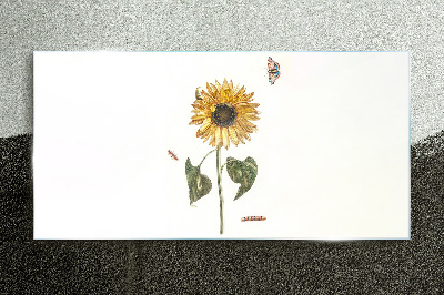 Sunflower in a delicate composition Glass Print