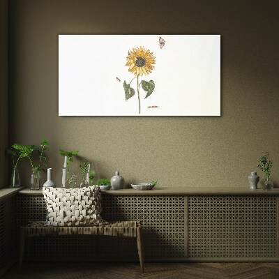 Sunflower in a delicate composition Glass Print