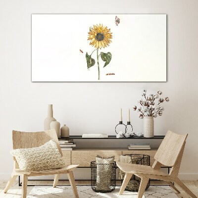 Sunflower in a delicate composition Glass Print
