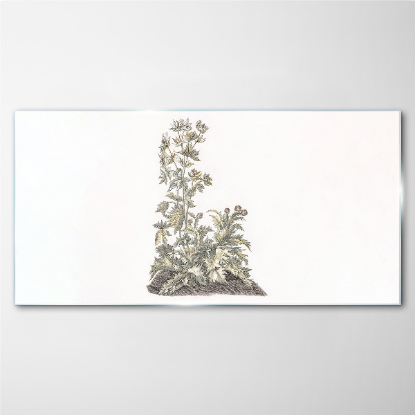 Plants in soft light Glass Print