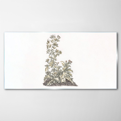 Plants in soft light Glass Print