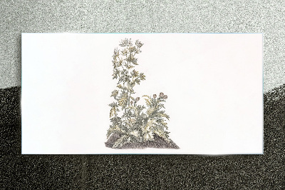 Plants in soft light Glass Print