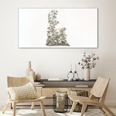 Plants in soft light Glass Print