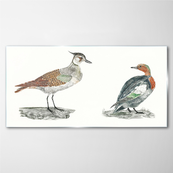 Birds in the colors of nature Glass Print