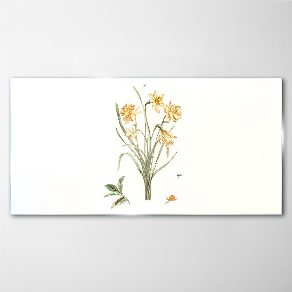 Daffodil flowers with a nature motif Glass Print