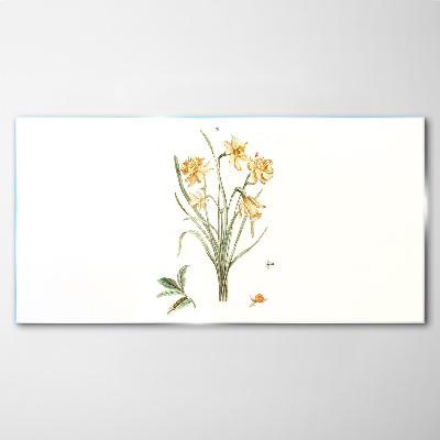 Daffodil flowers with a nature motif Glass Print