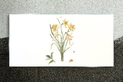 Daffodil flowers with a nature motif Glass Print