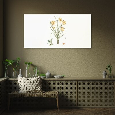 Daffodil flowers with a nature motif Glass Print
