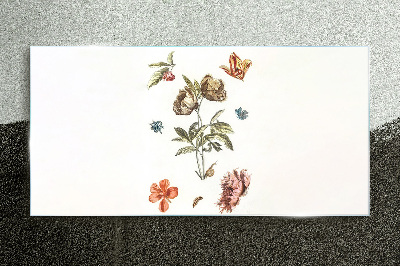 Flowers plants Glass Print