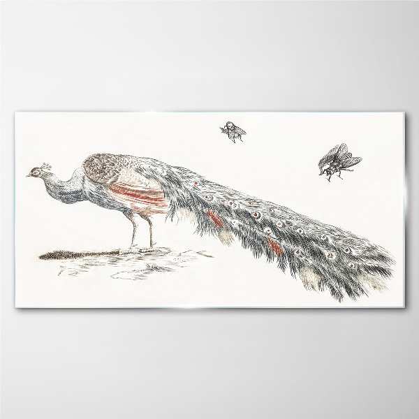 Peacock with flies Glass Print