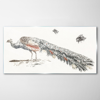 Peacock with flies Glass Print