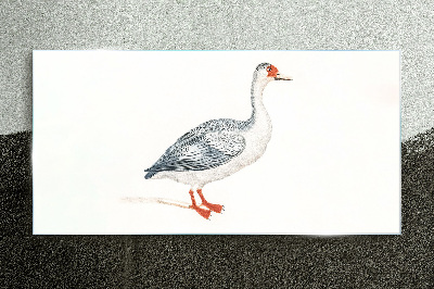 Goose in delicate shades Glass Print