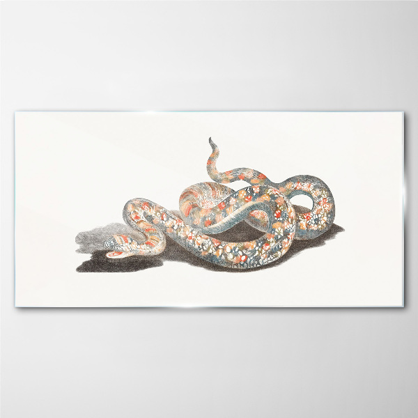 Snake pattern with colorful details Glass Print