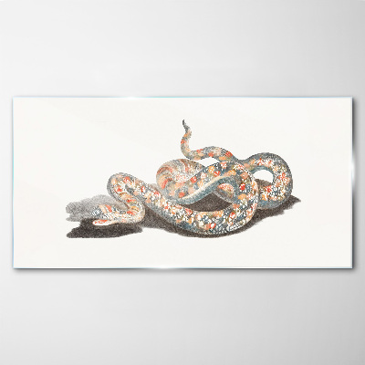 Snake pattern with colorful details Glass Print